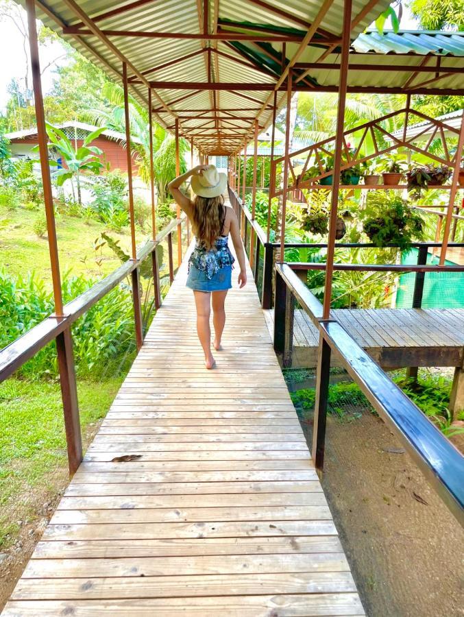 Pirate Cove Hotel Drake Bay Bagian luar foto