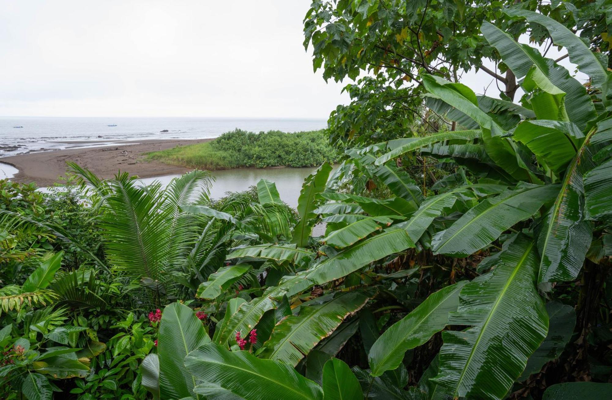 Pirate Cove Hotel Drake Bay Bagian luar foto