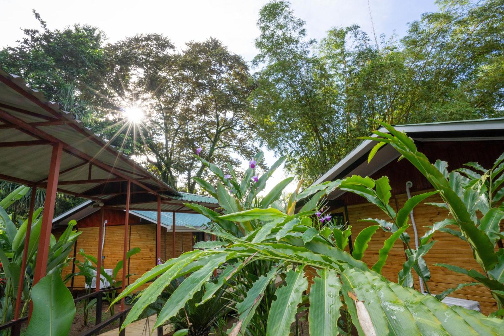 Pirate Cove Hotel Drake Bay Bagian luar foto