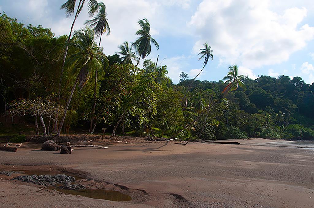 Pirate Cove Hotel Drake Bay Bagian luar foto