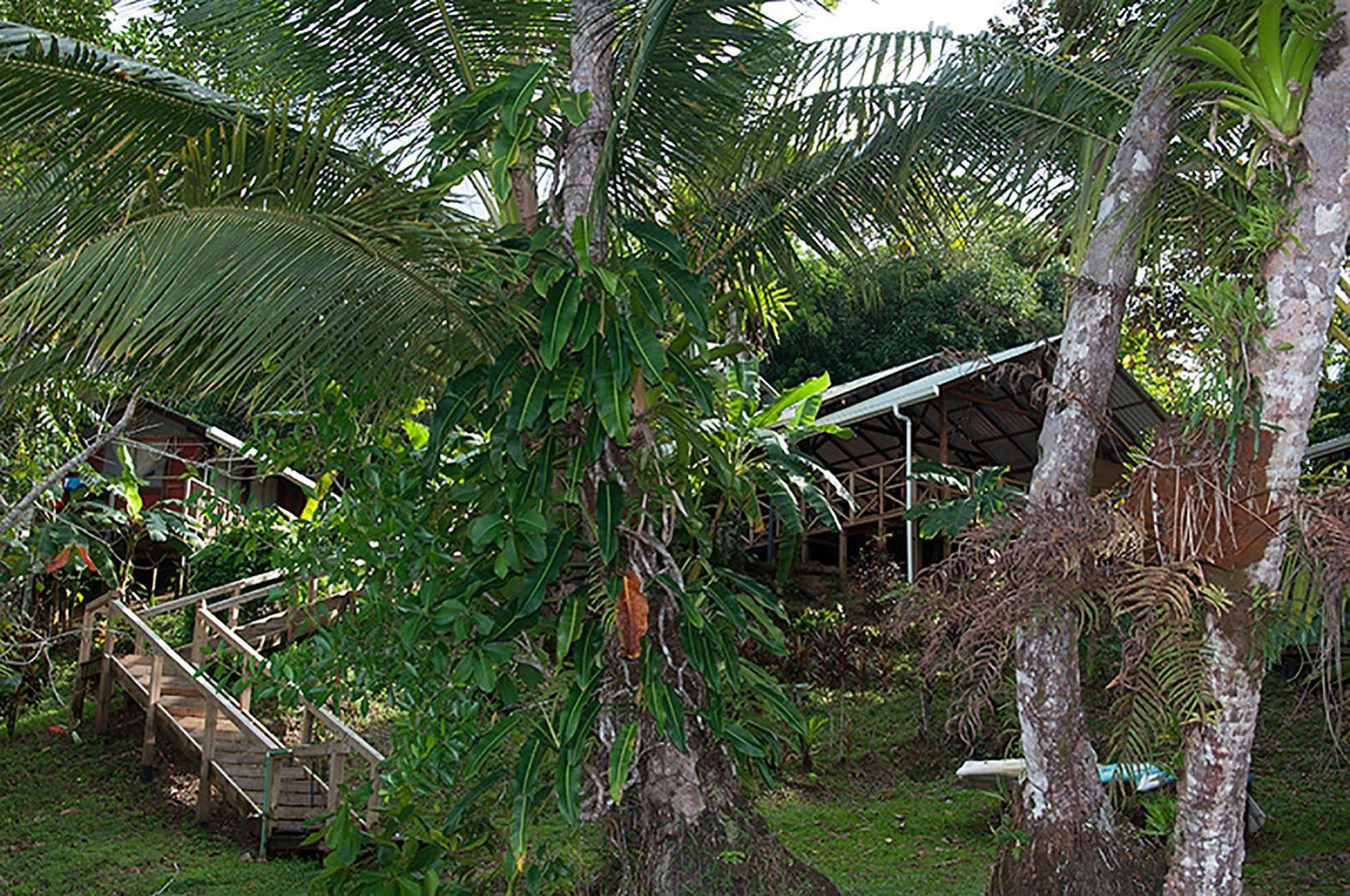 Pirate Cove Hotel Drake Bay Bagian luar foto