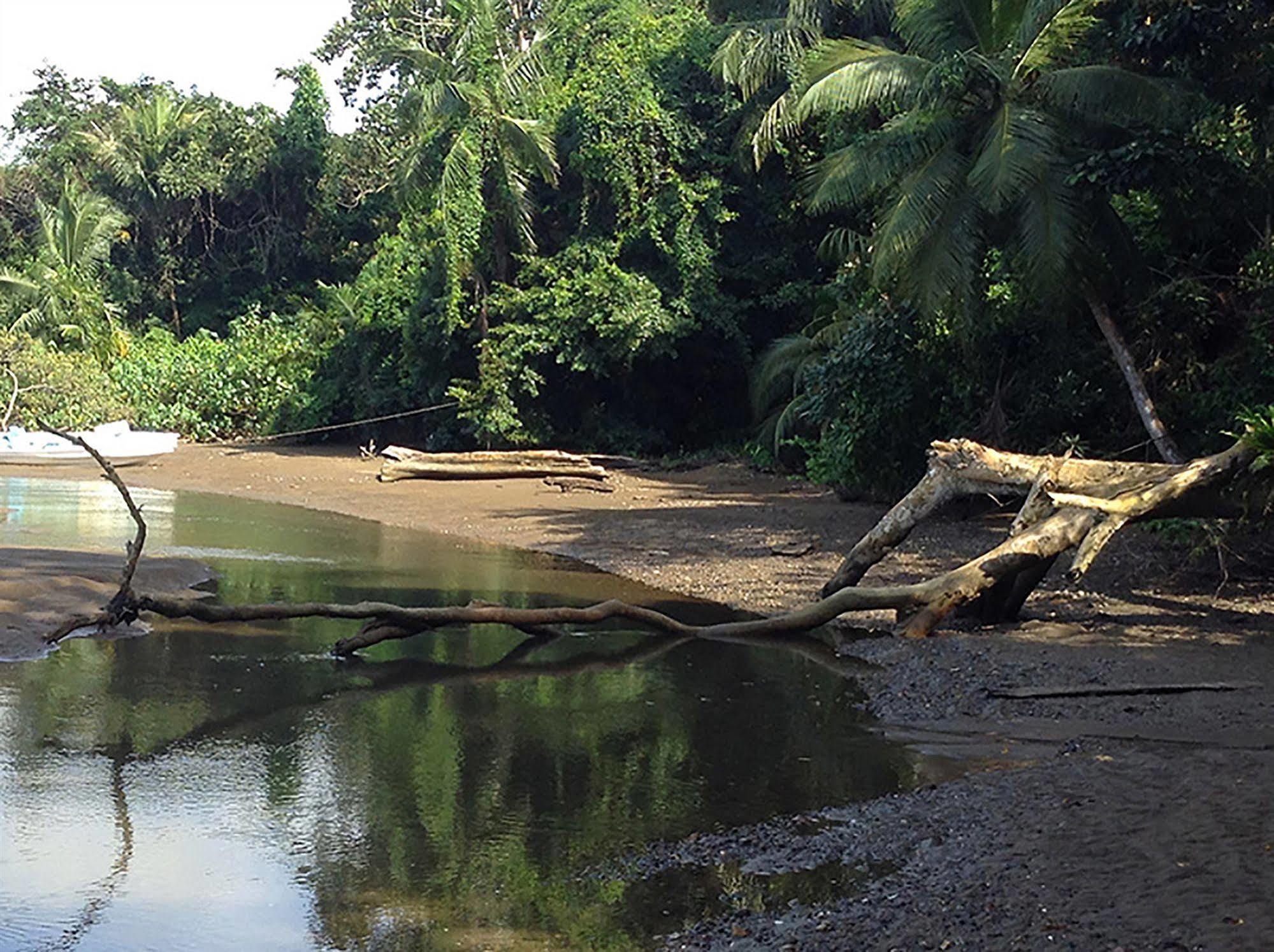 Pirate Cove Hotel Drake Bay Bagian luar foto