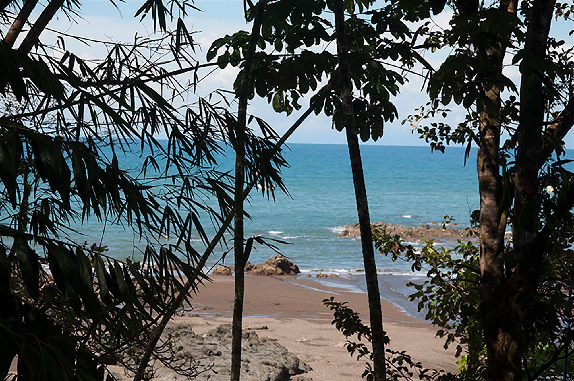 Pirate Cove Hotel Drake Bay Bagian luar foto