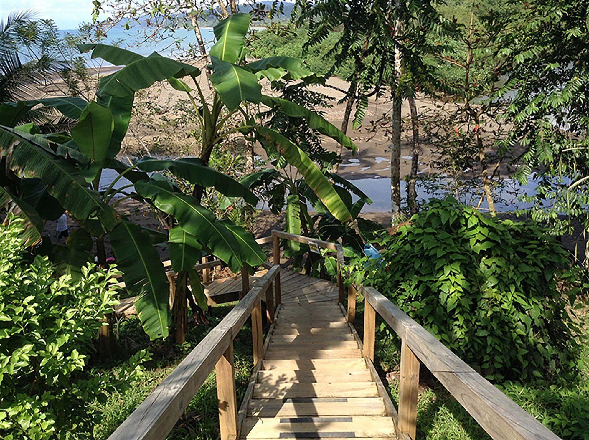 Pirate Cove Hotel Drake Bay Bagian luar foto