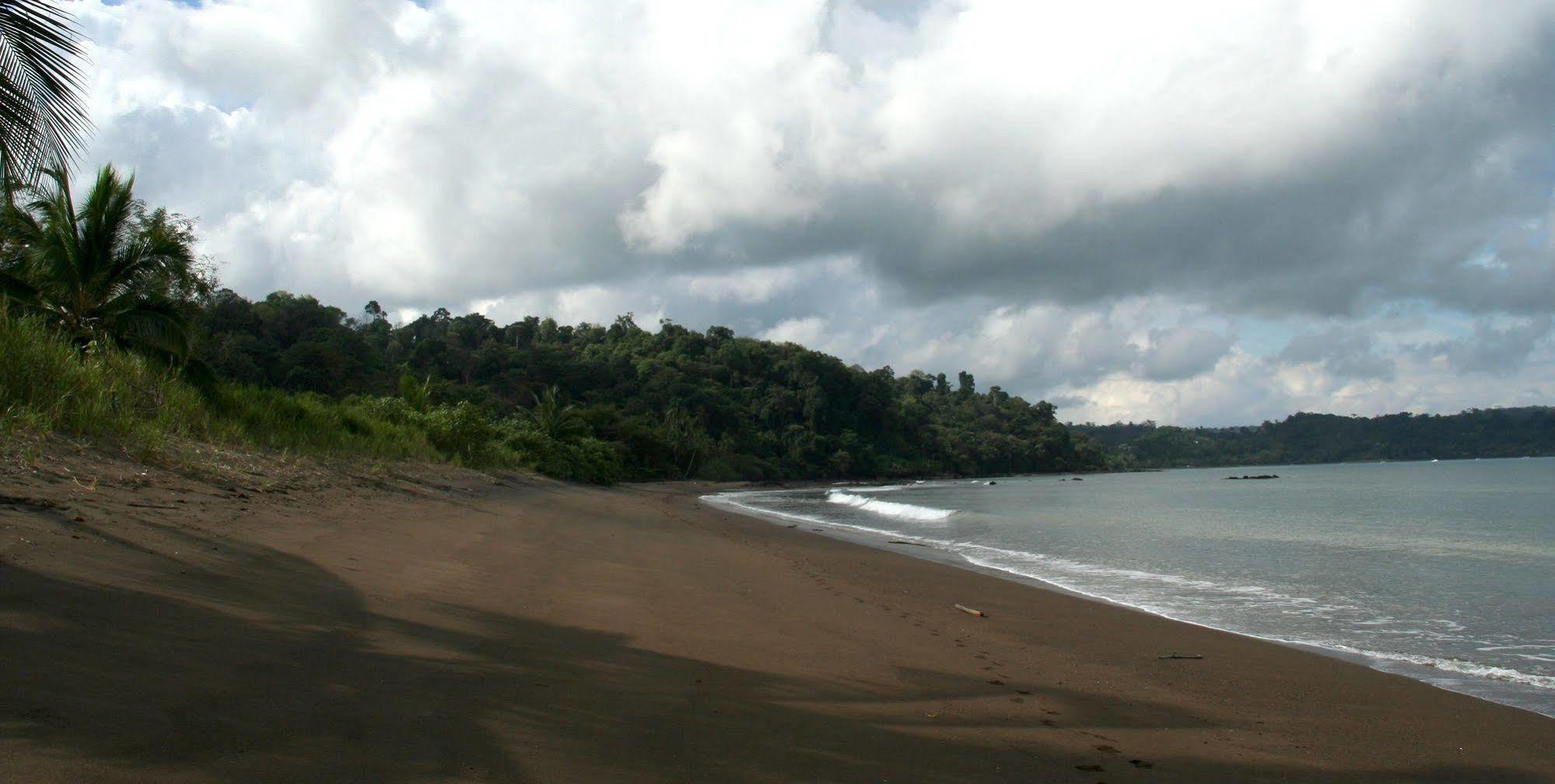 Pirate Cove Hotel Drake Bay Bagian luar foto
